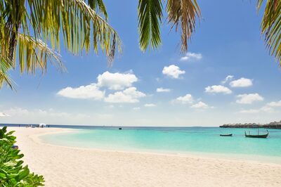 Turquoise coastline and palm trees on a bright day in South Florida